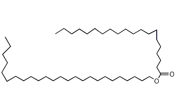 Pentacosanyl arachidate Structure
