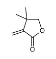 4,4-dimethyl-3-methylideneoxolan-2-one结构式