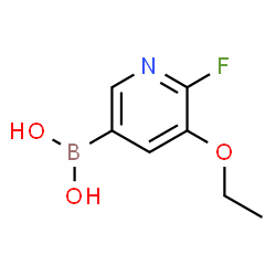 2-Fluoro-3-ethoxypyridine-5-boronic acid picture
