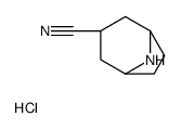 外-8-氮杂双环[3.2.1]辛烷-3-甲腈盐酸盐图片