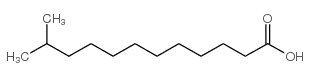 11-Methyllauric acid Structure