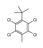 1-tert-butyl-2,3,5,6-tetrachloro-4-methylbenzene Structure