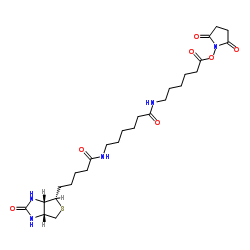 N -[6-(生物素氨基)己酰基]-6-氨基己酸N-琥珀酰亚胺酯结构式