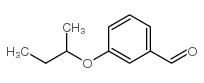 3-仲丁氧基苯甲醛结构式