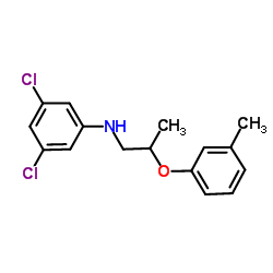 3,5-Dichloro-N-[2-(3-methylphenoxy)propyl]aniline Structure