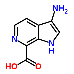 3-amino-6-azaindole-7-carboxylic acid Structure
