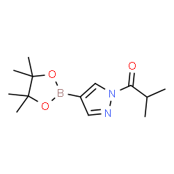 1-异丁酰基-1H-吡唑-4-硼酸频哪醇酯结构式