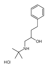tert-butyl-(2-hydroxy-4-phenylbutyl)azanium,chloride Structure