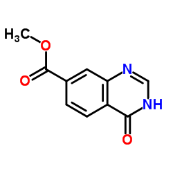 4-氧代-3,4-二氢喹唑啉-7-羧酸甲酯图片