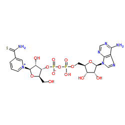 Thionicotinamide adenine dinucleotide structure