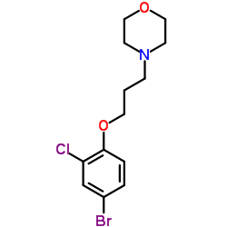 4-(3-(4-溴-2-氯苯氧基)丙基)吗啉结构式