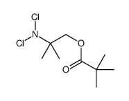 [2-(dichloroamino)-2-methylpropyl] 2,2-dimethylpropanoate Structure