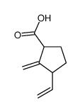 Cyclopentanecarboxylic acid, 3-ethenyl-2-methylene- (9CI)结构式