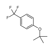 1-(叔丁氧基)-4-(三氟甲基)苯结构式