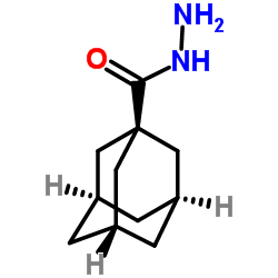 adamantane-1-carbohydrazide structure