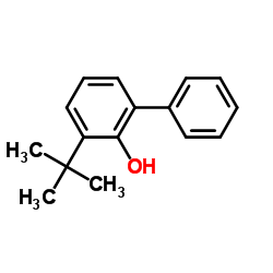 3-叔丁基联苯-2-醇结构式