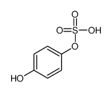 (4-hydroxyphenyl) hydrogen sulfate Structure