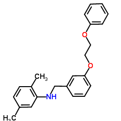 2,5-Dimethyl-N-[3-(2-phenoxyethoxy)benzyl]aniline Structure