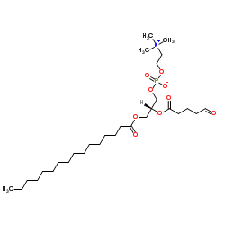 1-棕榈酰基-2-(5'-氧-戊酰基)-sn-甘油-3-磷酸胆碱结构式