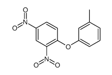 1-(3-methylphenoxy)-2,4-dinitrobenzene Structure
