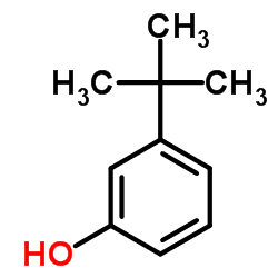 3-叔丁基苯酚图片