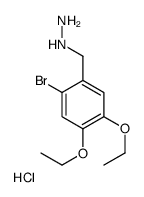 (2-bromo-4,5-diethoxyphenyl)methylhydrazine,hydrochloride Structure
