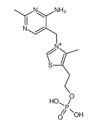 3-[(4-Amino-2-methyl-5-pyrimidinyl)methyl]-4-methyl-5-[2-(phosphonooxy)ethyl]thiazolium结构式