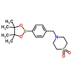 4-[4-(4,4,5,5-Tetramethyl[1,3,2]dioxaborolan-2-yl)benzyl]thiomorpholine 1,1-dioxide Structure