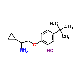 1-Cyclopropyl-2-[4-(2-methyl-2-propanyl)phenoxy]ethanamine hydrochloride (1:1)结构式