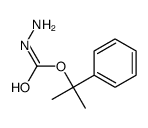 Hydrazinecarboxylic acid, 1-methyl-1-phenylethyl ester (9CI) Structure