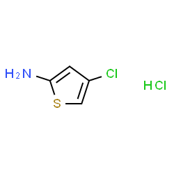 4-氯噻吩-2-胺盐酸盐结构式