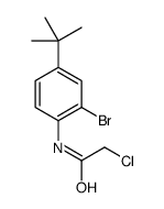 N1-[2-BROMO-4-(TERT-BUTYL)PHENYL]-2-CHLOROACETAMIDE Structure