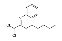 N-(1-dichloromethyl-heptylidene)-aniline结构式