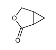 3-Oxabicyclo[3.1.0]hexan-2-one结构式