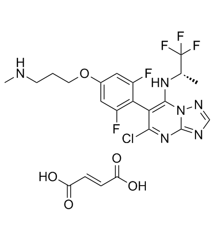 Cevipabulin富马酸盐图片