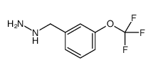 3-TRIFLUOROMETHOXY-BENZYL-HYDRAZINE structure