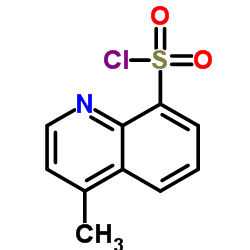 4-Methyl-8-quinoxalinesulfonyl Chloride Structure
