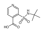 3-(N-t-butylsulphonyl)pyridine-4-carboxylic acid Structure