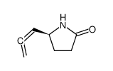 2-Pyrrolidinone,5-(1,2-propadienyl)-,(S)-(9CI)结构式