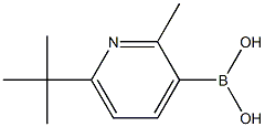2-Methyl-6-(tert-butyl)pyridine-3-boronic acid Structure