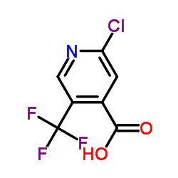 2-Chloro-5-(trifluoromethyl)isonicotinic acid structure