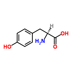 L-酪氨酸结构式