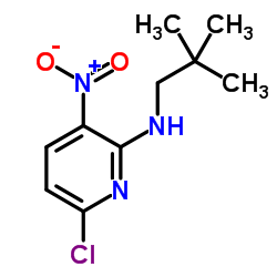6-Chloro-N-(2,2-dimethylpropyl)-3-nitro-2-pyridinamine Structure