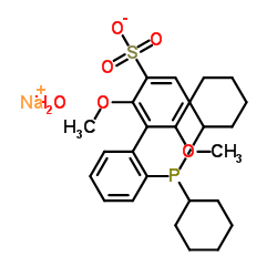 2'-二环己基-2,6-二甲氧基-3-磺酸- 1,1'-联苯水合物钠盐结构式