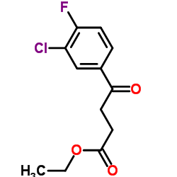 Ethyl 4-(3-chloro-4-fluorophenyl)-4-oxobutanoate结构式