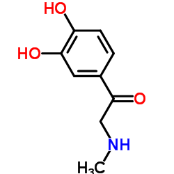肾上腺酮结构式