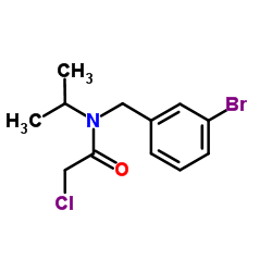 N-(3-Bromobenzyl)-2-chloro-N-isopropylacetamide Structure