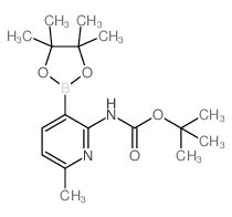Boc-2-Amino-6-methylpyridine-3-boronic acid pinacol ester structure