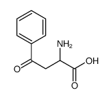 alpha-Amino-beta-benzoylpropionic acid structure