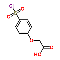 [4-(Chlorosulfonyl)phenoxy]acetic acid Structure